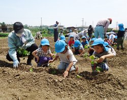 「農業体験で園児と交流、支所協同活動」の画像