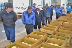 「品質維持に向けて出荷時の注意点を確認」の画像
