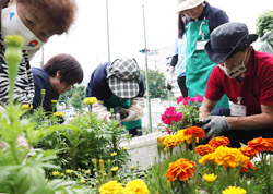 「蚕糸公園を花でいっぱいに／JA岡谷支所食農活動」の画像