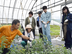 「農業の大切さ学ぶ　新規採用職員が農作業を体験」の画像