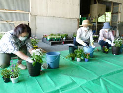 「部員全員で寄せ植え実習、人と街に花（笑顔）をテーマに、地域貢献」の画像