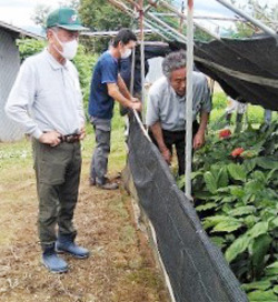 「信州人蔘生産強化へ視察研修」の画像