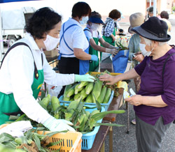 「朝採りスイートコーン地元で人気　勇気野菜館「もろこしまつり」」の画像