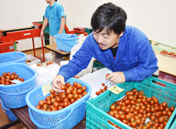 「広がるこども食堂支援の輪」の画像