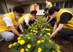 「花で毎日を華やかに／「はらむら悠生寮」で食農活動」の画像