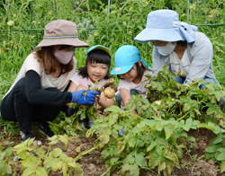 「食べ物のありがたみを伝える」の画像