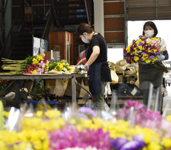 「生産意欲向上に一役　色とりどりの切り花揃う」の画像
