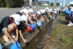 「成長見守ったフナを諏訪湖へ放流/豊田小5年1組」の画像