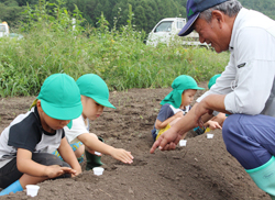 「食農教育で大根種まき実施」の画像