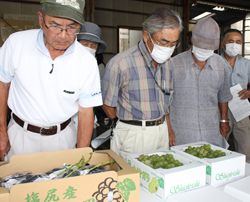 「品質見極めしっかり荷造りを呼びかけ　巨峰、ナイアガラ目揃い会開催」の画像