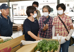 「秋の彼岸需要に応える　小菊出荷目ぞろい会開催」の画像