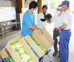 「レタス類統一目揃いで出荷規格等確認」の画像