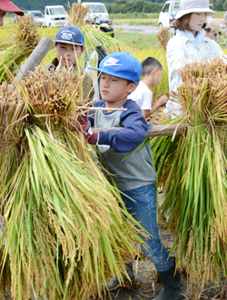 「子どもたちに昔ながらの農業を伝える」の画像