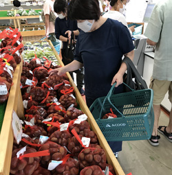 「特産「小布施栗」お目見え、直売所盛況」の画像