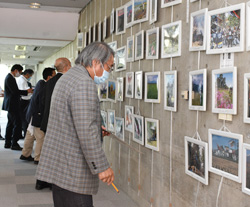 「「JA55周年記念フォトコンテスト」開催　過去最多152点の力作揃う」の画像