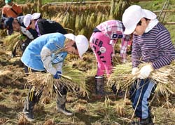「食や地域とのつながりは経験することが一番」の画像