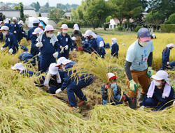 「地元青年部員が指導」の画像