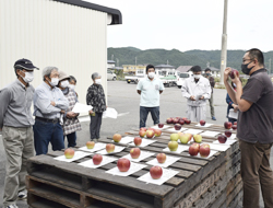 「天候不順のり越え、良質品出荷へ」の画像