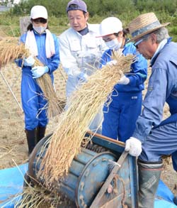 「実りの秋！小学生が脱穀を体験」の画像