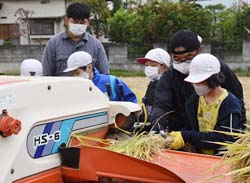 「稲刈りから脱穀までを体験」の画像