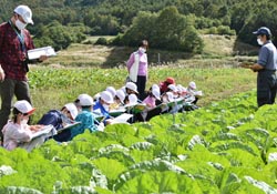「児童が地域の農業を学ぶ、開田高原のハクサイ畑見学とニンジン収穫体験」の画像