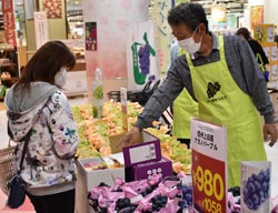 「ぶどうフェスタで旬をアピール　多彩な品種勢ぞろい」の画像