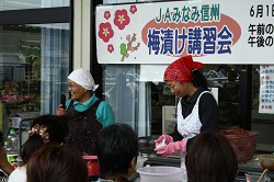 「販売促進へ、梅漬け講習」の画像