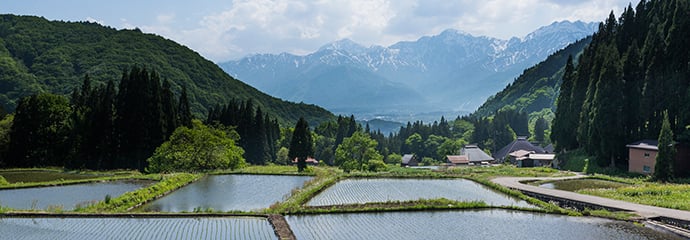 JA長野県グループとは