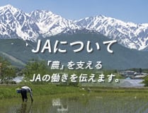 JAについて「農」を支えるJAの取り組みを伝えます